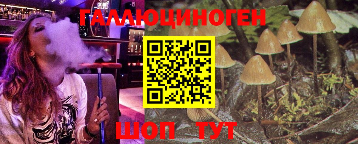 Галлюциногенные грибы GOLDEN TEACHER  Вход с VPN  Каменка 