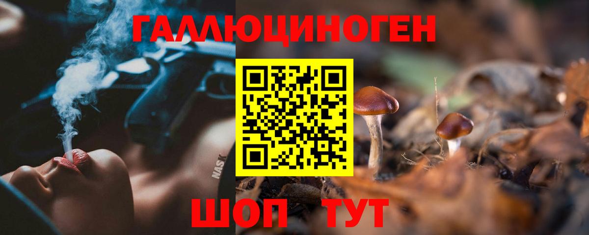 Псилоцибиновые грибы Cubensis Каменка